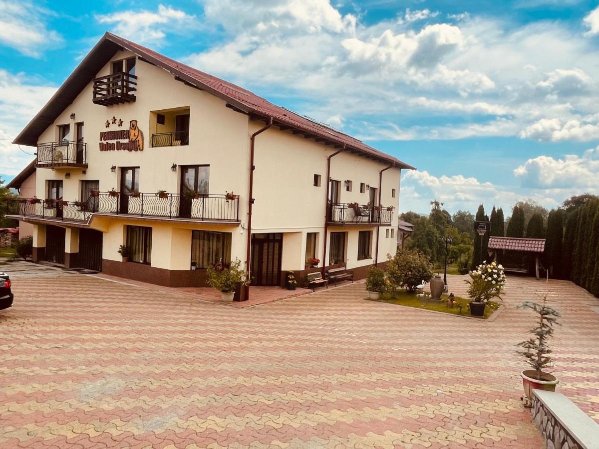 Pensiunea Valea Ursului 肯普隆格 外观 照片